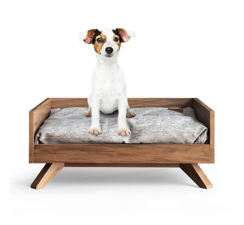 Our Fave Stylish Pet Finds - bandddesign.com